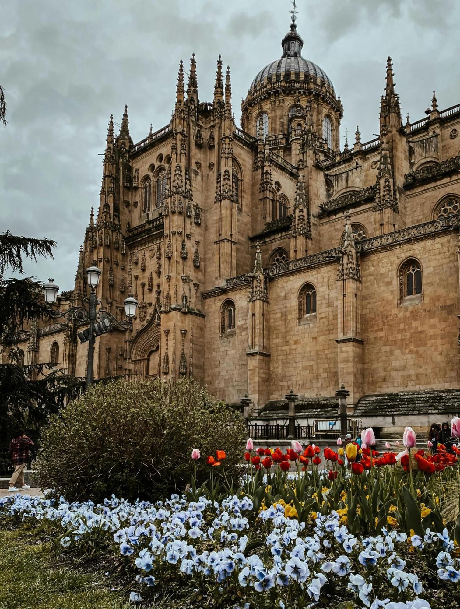 Centro, Hospital Y Campus Universitario A 5 Minutos - Camas De Primera - Lavadora - Smarttv - Wifi 1 Gb - Teletrabajo Salamanca Kültér fotó